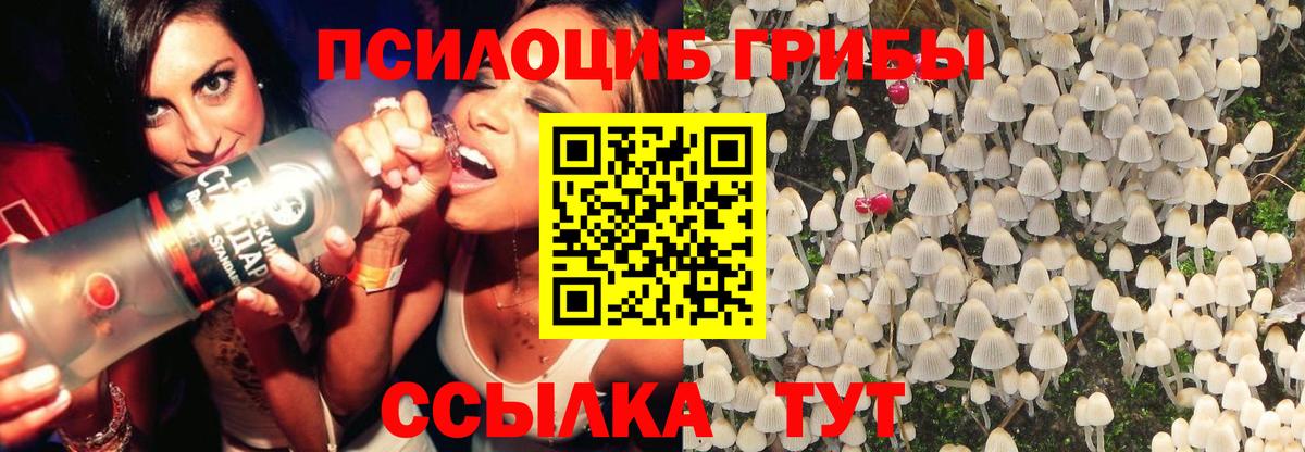 Псилоцибиновые грибы Psilocybe  Галлюциногенные грибы прущие грибы  Сарапул  Вход с VPN 