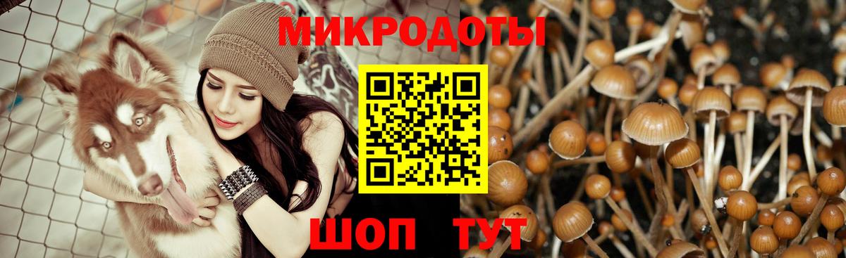 Псилоцибиновые грибы мухоморы Сарапул