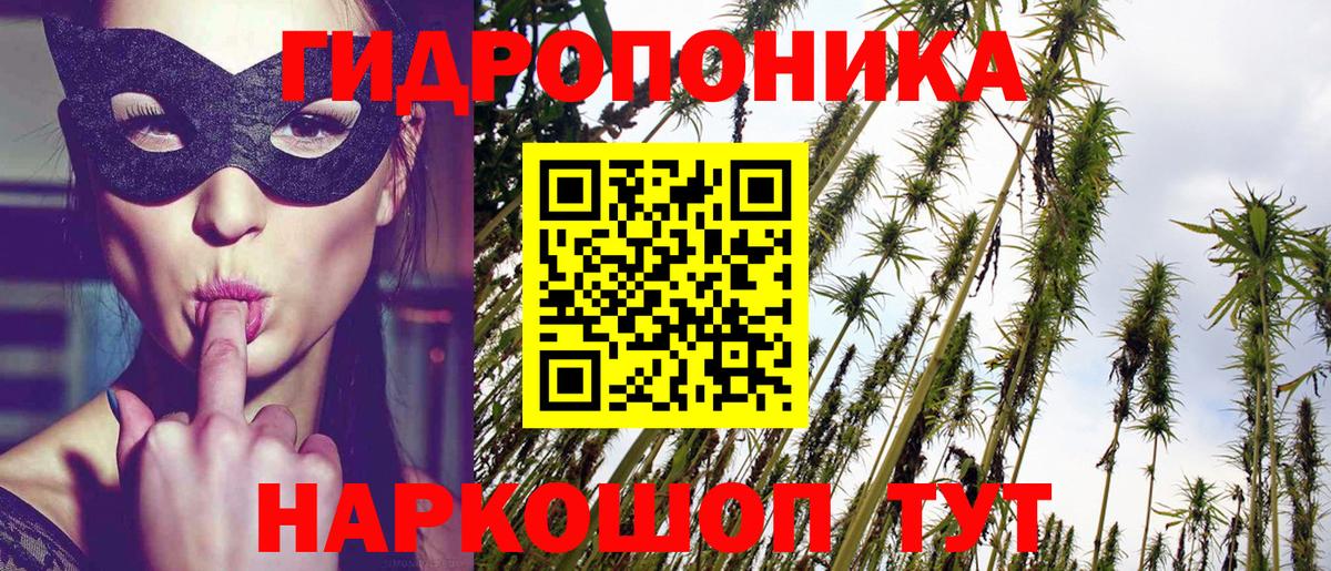 Бошки марихуана VHQ Сарапул